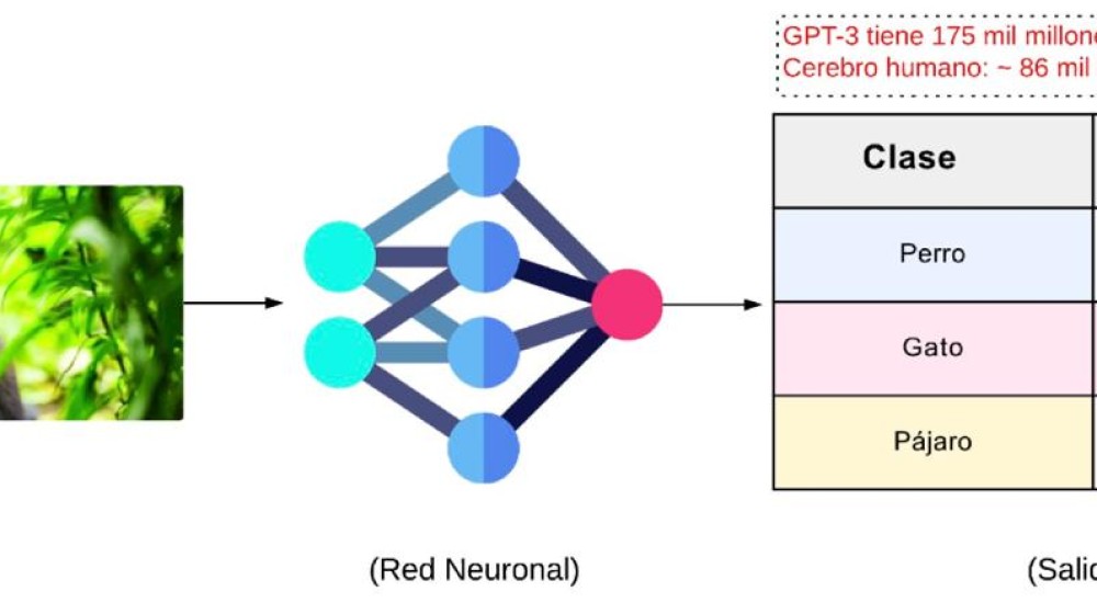 Inteligencia artificial para todos: ¿Cómo funcionan los modelos que conversan contigo?