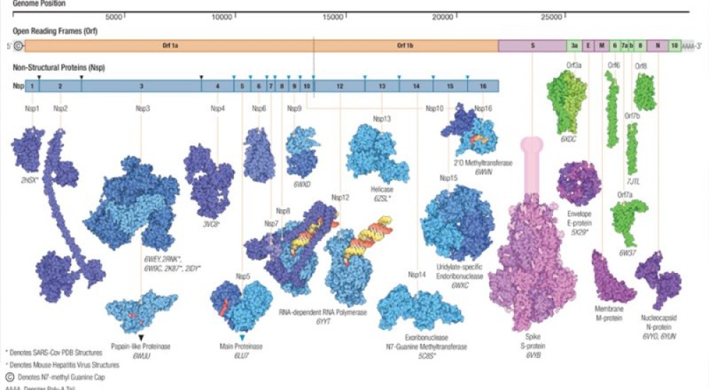 Sobre los hombros de gigantes: Los alcances y aplicaciones de la Ciencia