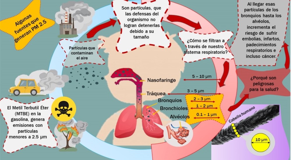 Bioetanol + gasolina, un combustible alterno para autos