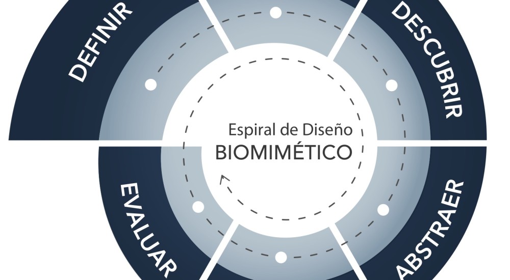 Biomimética: la ciencia de imitar a la naturaleza