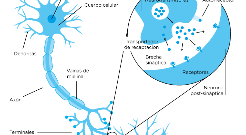 Enfermedades Mentales: Breve historia de la locura