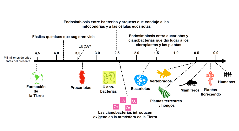 Hacia la comprensión del origen de la vida en la Tierra