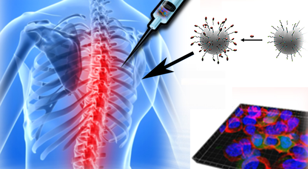 Las nanopartículas y las vacunas contra el COVID 19, verdades y mitos