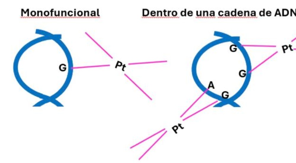 Raíces de plantas y tumores de humanos, ¿cuál es la relación?