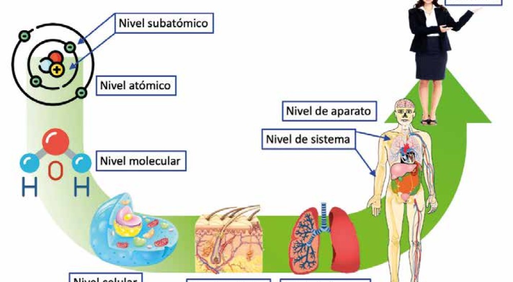 Los oxímetros de dedo y su importancia en el combate contra el COVID-19 