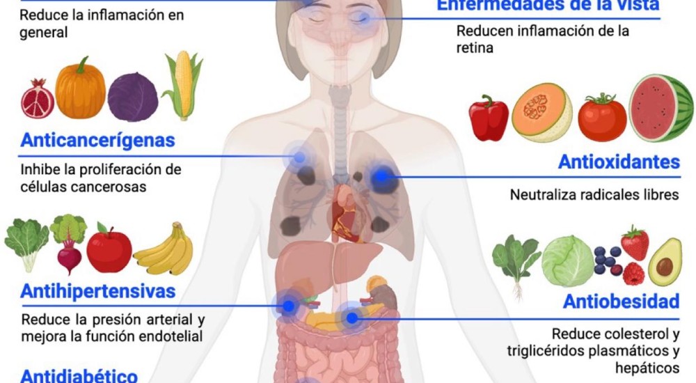 El secreto detrás de los colores de las frutas y verduras: carotenoides para una vida saludable