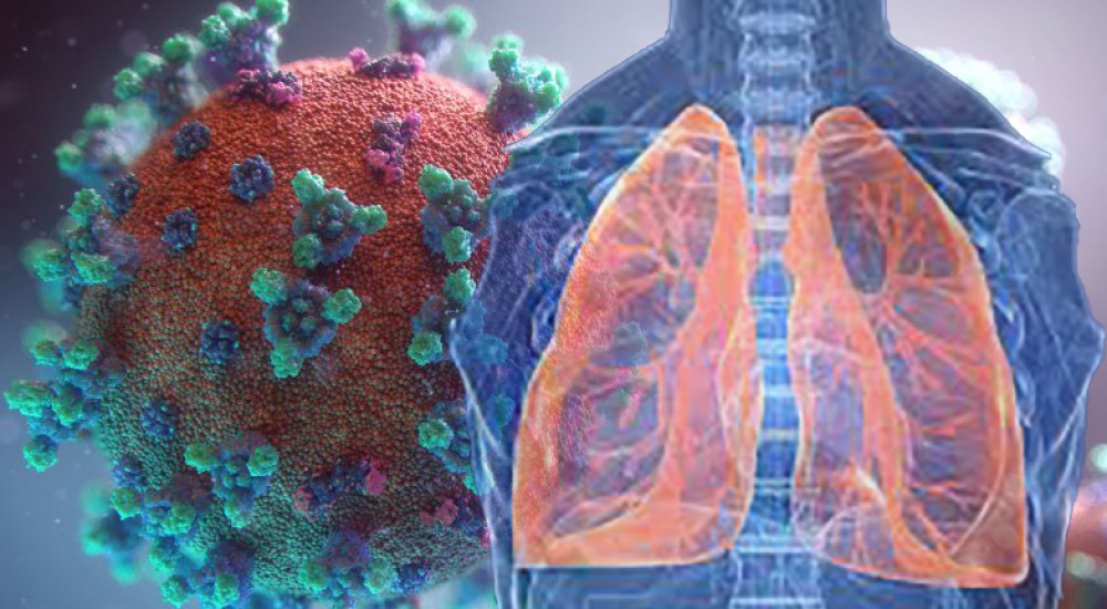 COVID-19: La ciencia y su impacto en las políticas de salud pública durante la pandemia